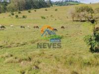 Fazenda para Venda, Monte Sião / MG