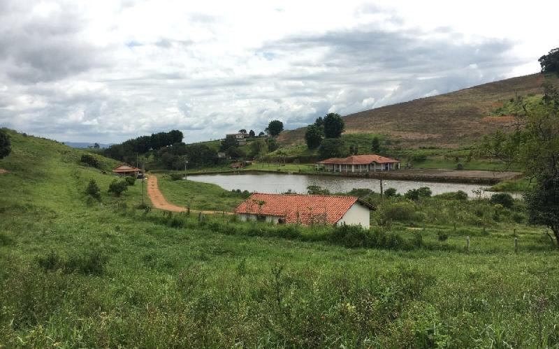 Fazenda - Socorro SP