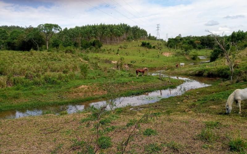 Fazenda à Venda - Amparo, SP